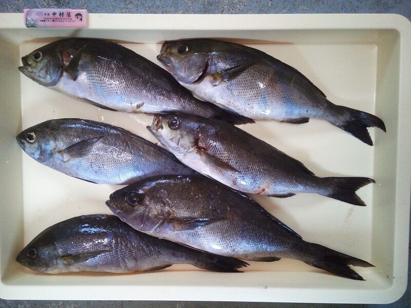 イメージ 1
