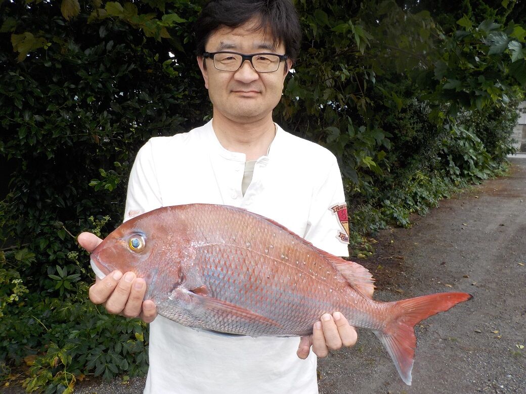 イメージ 3