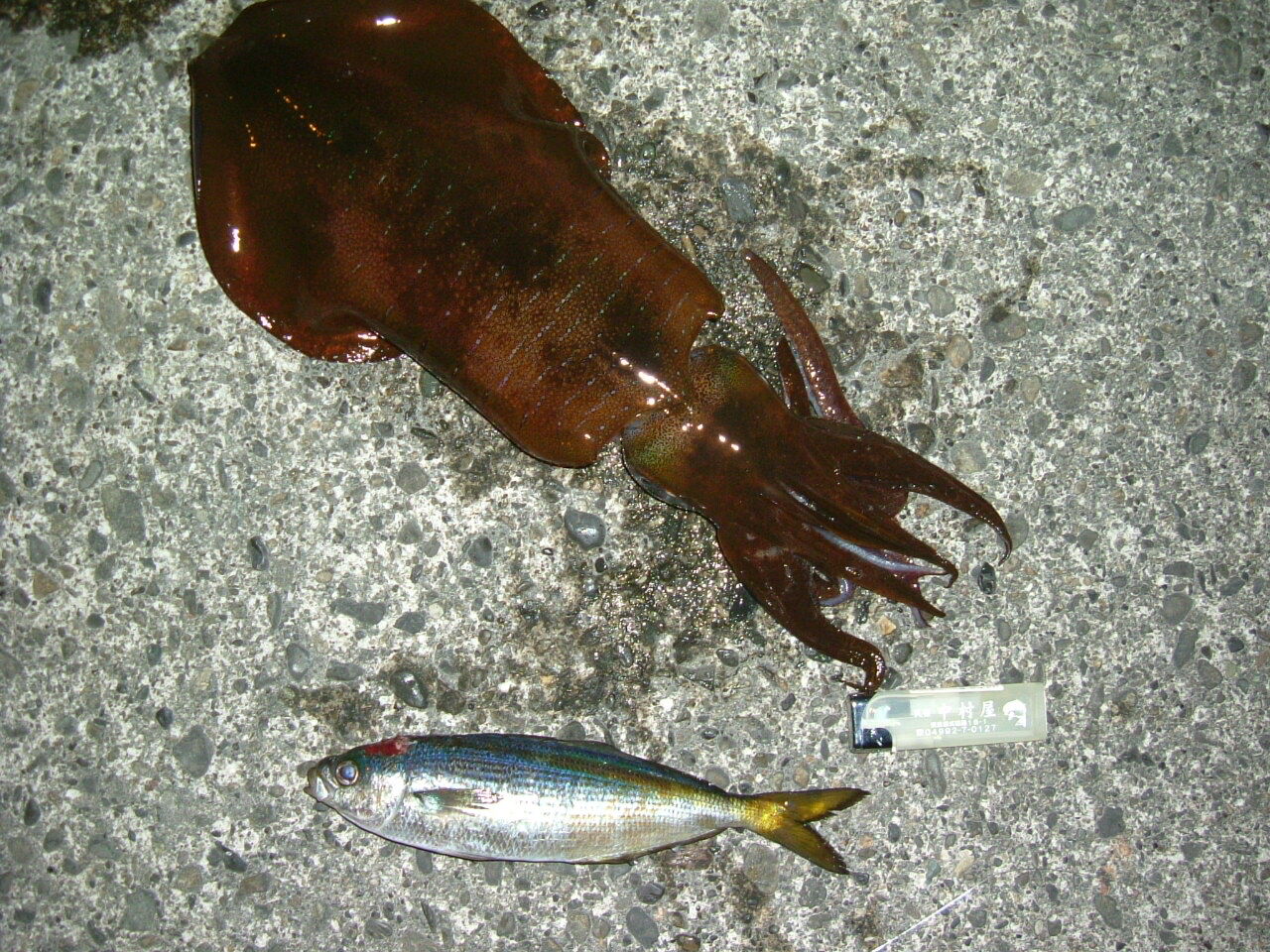 イメージ 1