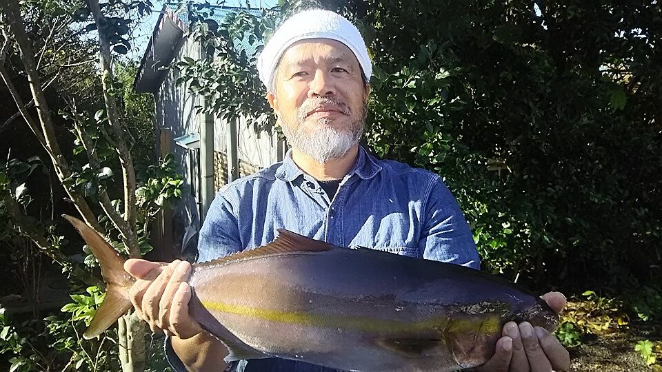 イメージ 2
