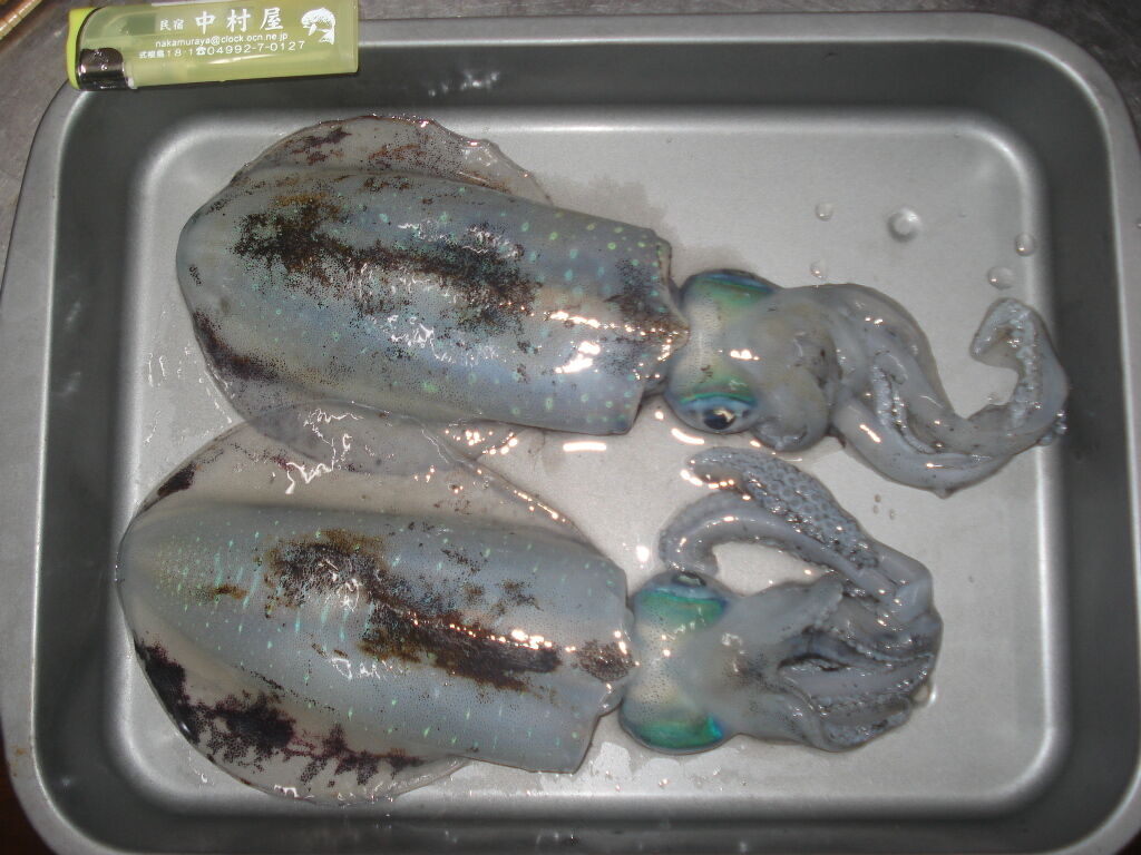 イメージ 1
