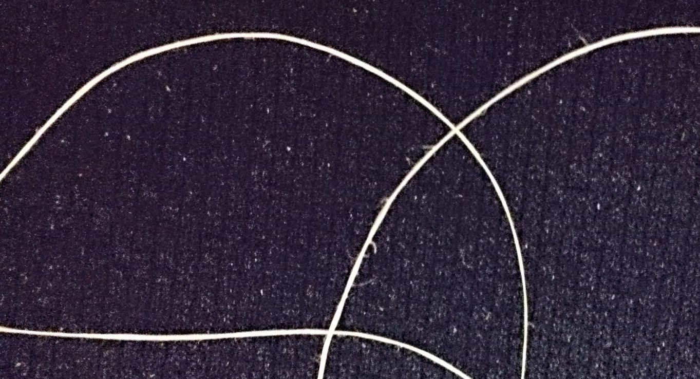 Peラインの耐用日数 シーバスって海水適応したブラックバスだと思ってた In博多湾