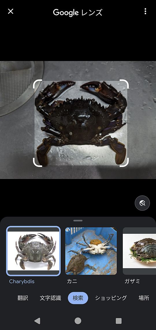  Google、「知らない、または信頼できない AI プロバイダーに引き継ぐ」必要のない Pixel 9 の Gemini AI 機能を宣伝