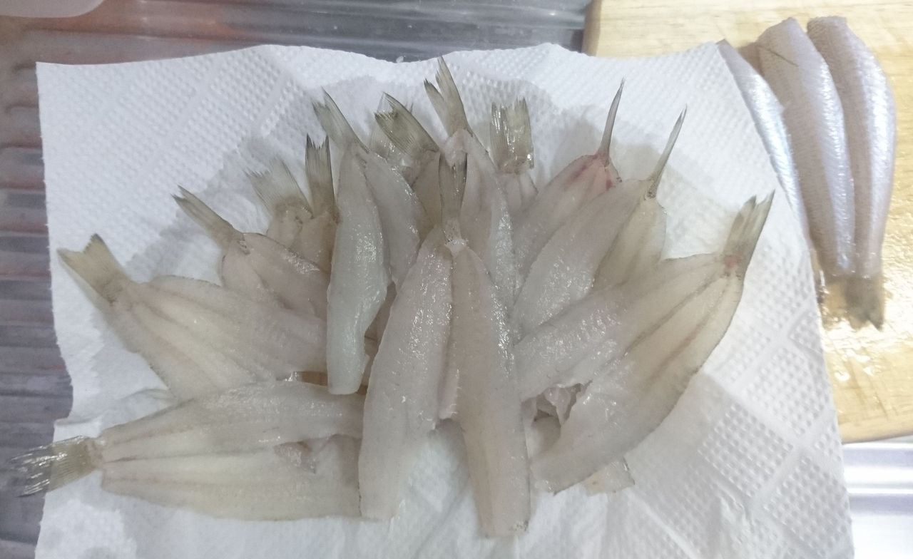 シーバスって海水適応したブラックバスだと思ってた In博多湾 釣り