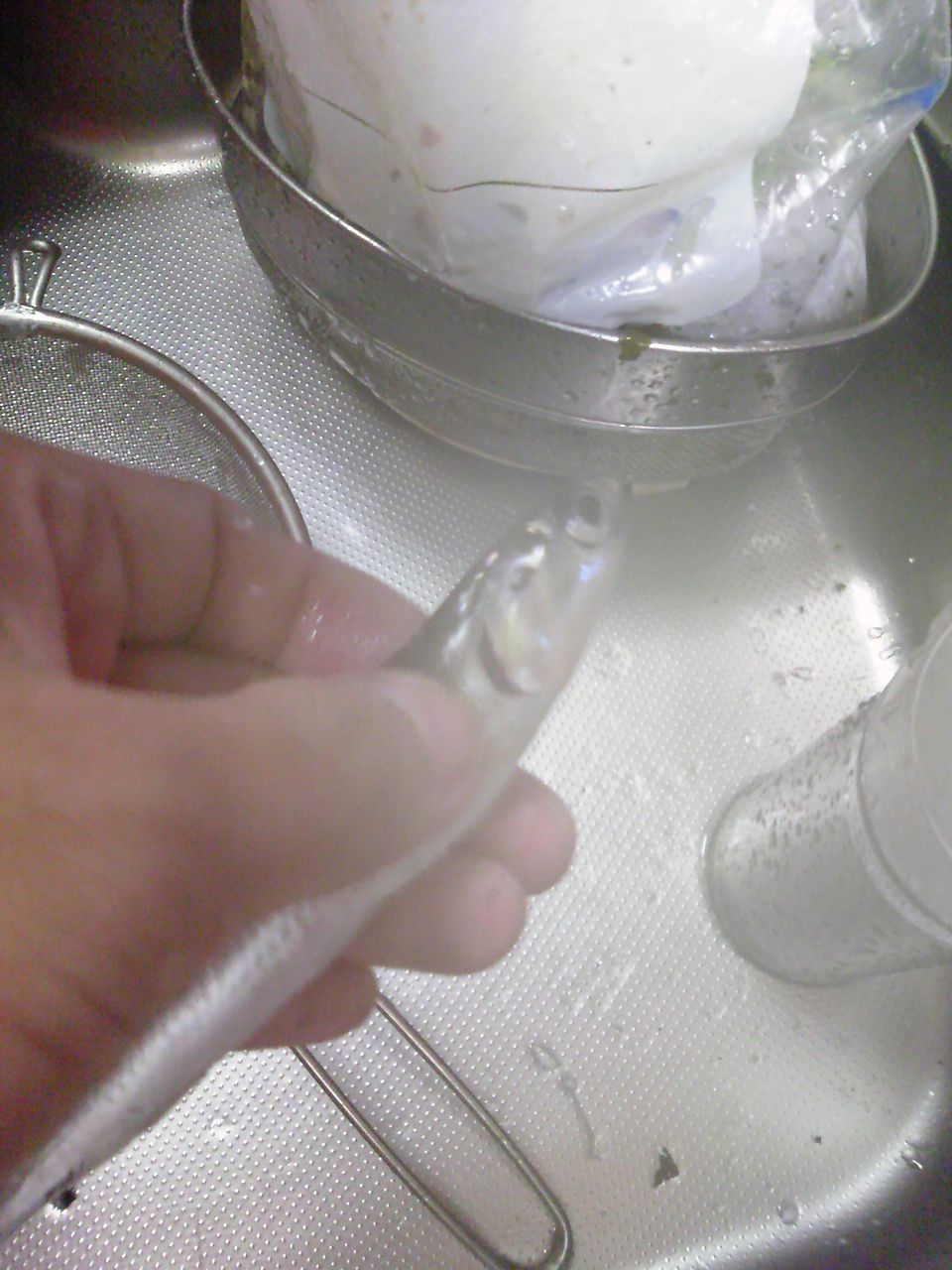 イワシ釣りとイワシの食べ方 横浜フィッシングセンターしまむら