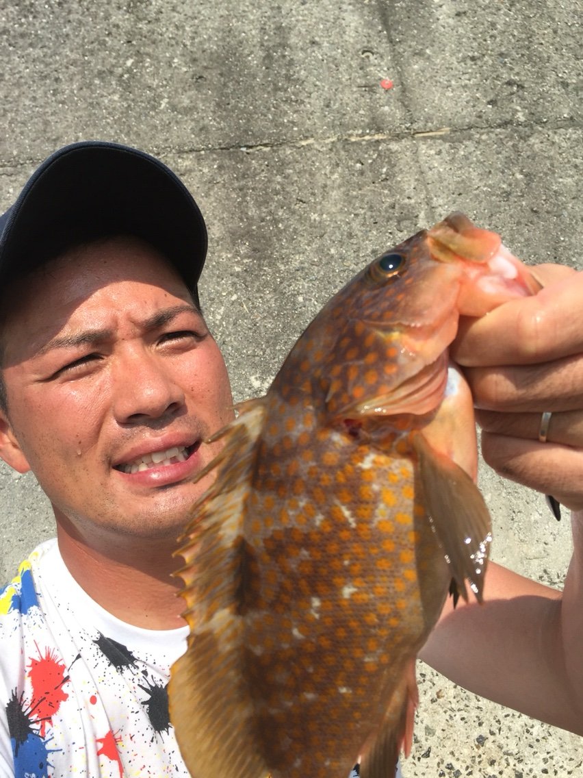 瀬戸内デイ アコウ検証 まるちゃんのfishing Report 瀬戸内デイ アコウ検証 まるちゃんのfishing Report