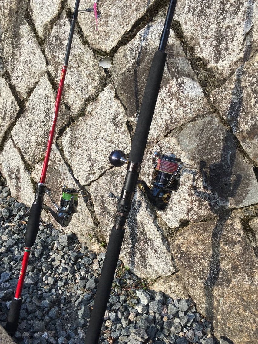 瀬戸内デイ アコウ検証 まるちゃんのfishing Report 瀬戸内デイ アコウ検証 まるちゃんのfishing Report