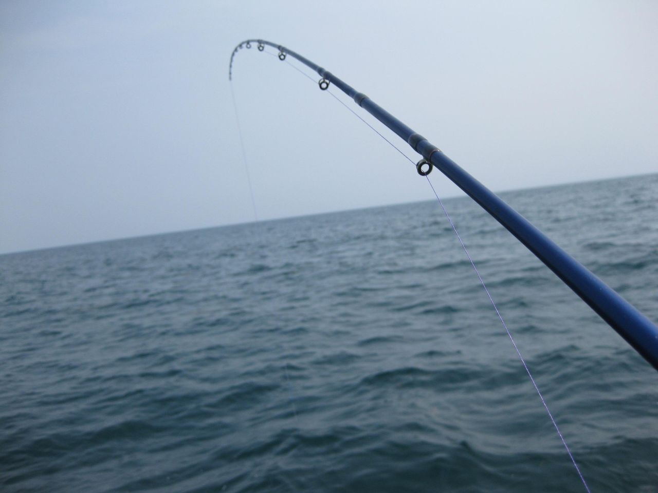 魚釣りとかいうおっさん丸出しの趣味wwwwwwwww 釣り人news 魚釣りとかいうおっさん丸出しの趣味wwwwwwwww 釣り人news