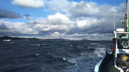 爆風？暴風？鳥羽のジギング＠Mr．こ～じ : Fishing ＆ RoadBikeのblog