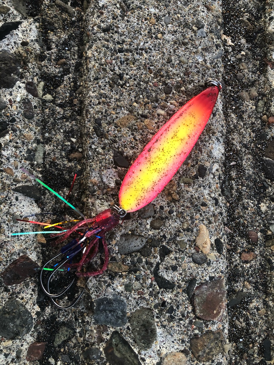 アキアジ まだ 数投しか投げてないのに 東の蝦夷の釣りぶろぐ