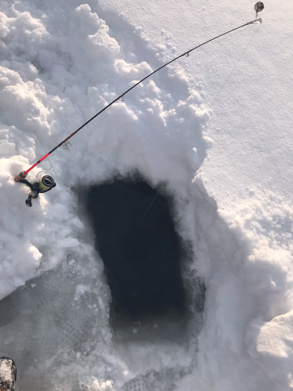 念願のマスがヒットするも 新しい魚種も釣れて色々あった富里湖ワカサギ釣り 東の蝦夷の釣りぶろぐ