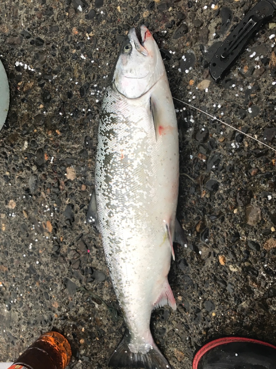 恐ろしい積雪の中釣具屋へ 仕掛けの仕上げ 東の蝦夷の釣りぶろぐ