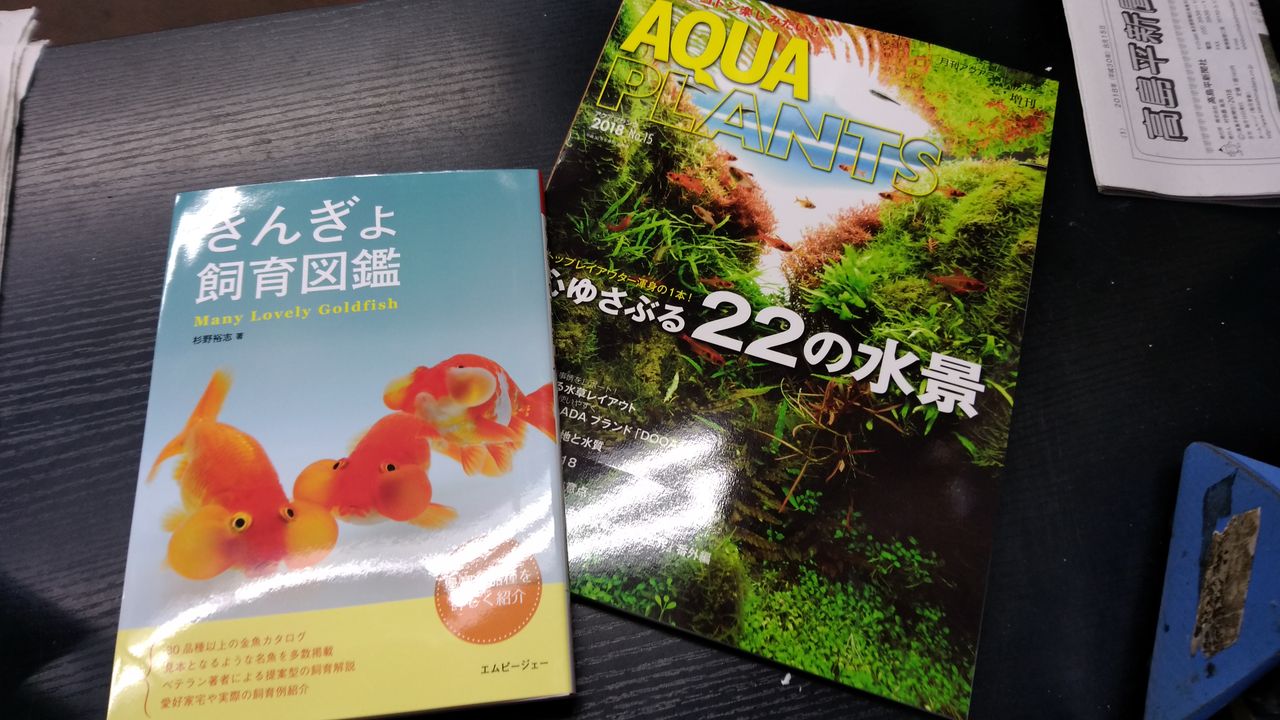 8 10 新刊 水草 熱帯魚入荷 フィッシュジャパンの総合blog
