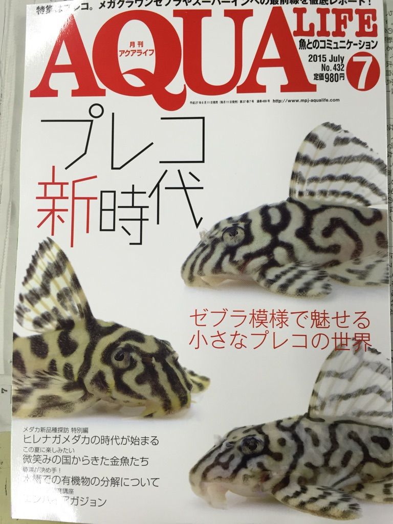 アクアライフ7月号入荷してます プレコ新時代 本日は活きエサday フィッシュジャパンの総合blog