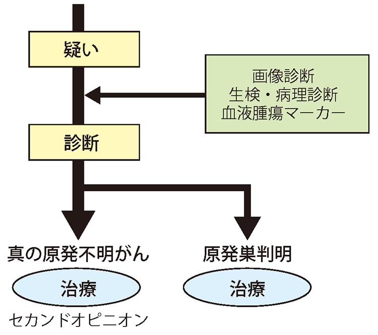 がん闘病中の森永卓郎さんが語った生への執念とその影響
