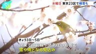 春の陽気から冬の寒さへ：東京都心の天候変化を探る