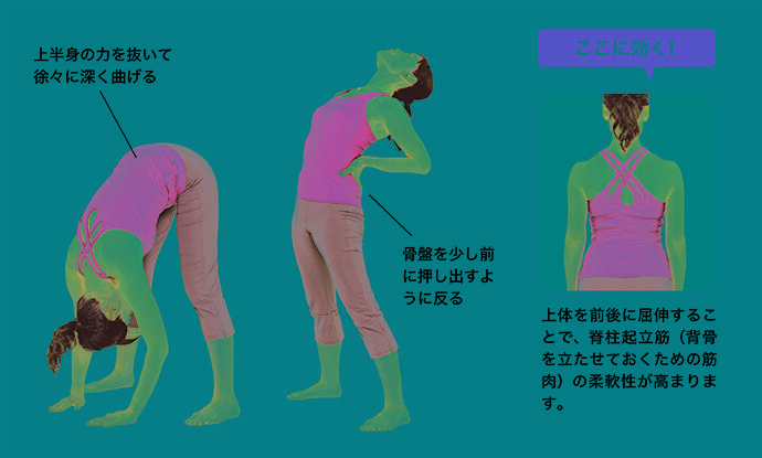 朝の活力を引き出す！へっぽこラジオ体操の効果とは