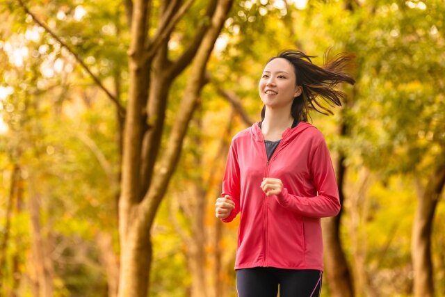筋トレで理想のボディを手に入れる！2024年スポーツジムおすすめガイド