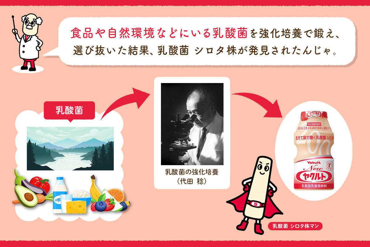 人権と乳酸菌：ヤクルトの取り組みと健康への影響