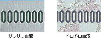 資格取得者が教える！人参と卵で健康を手に入れよう
