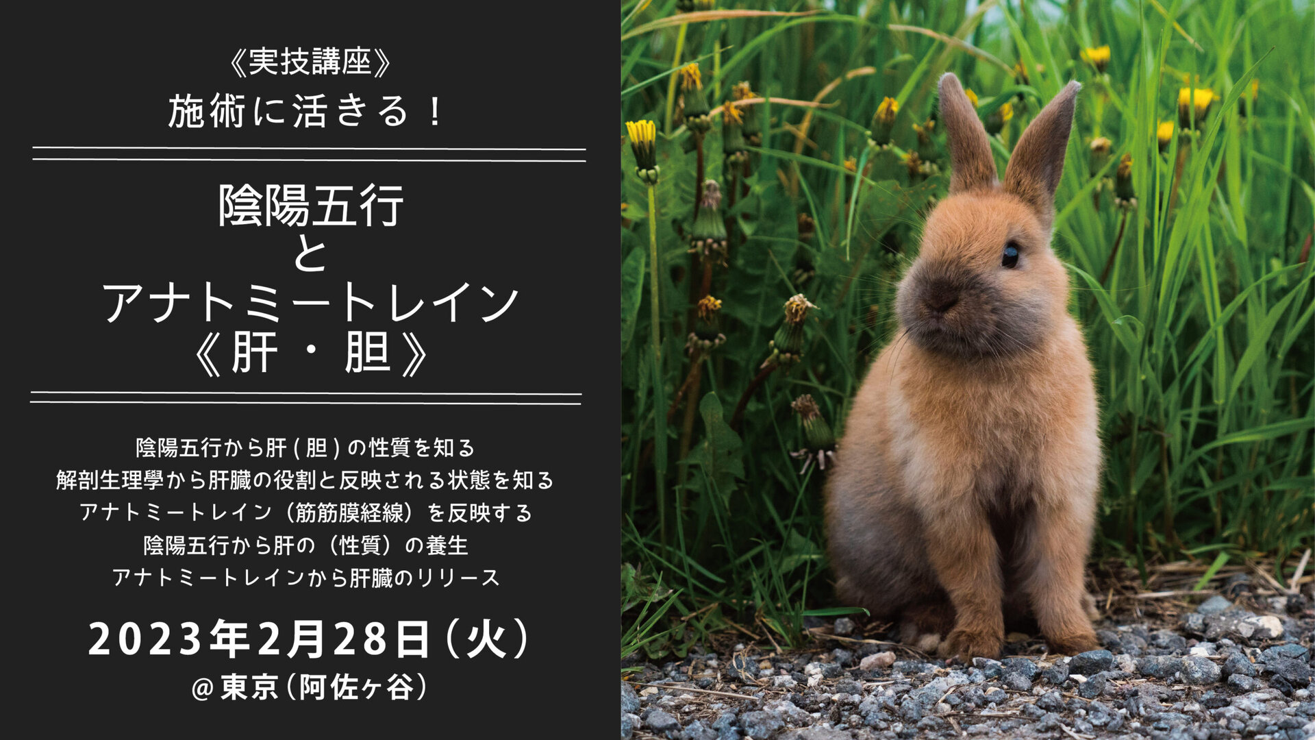 感染性肝嚢胞とは？その手術と医学界の動向