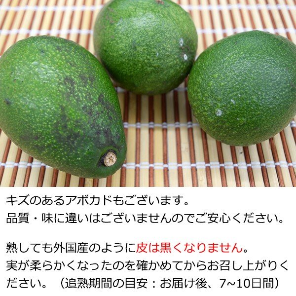 アボカドの魅力再発見！相葉マナブ流絶品レシピまとめ
