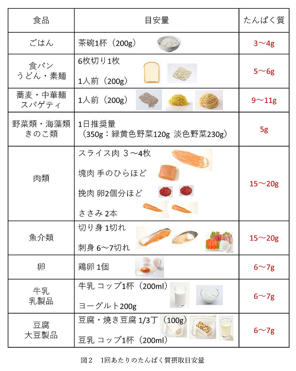 中高年に最適！筋肉増加のためのたんぱく質摂取ガイド