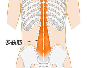 40代からの腟トレ入門：下腹とお尻を鍛える方法
