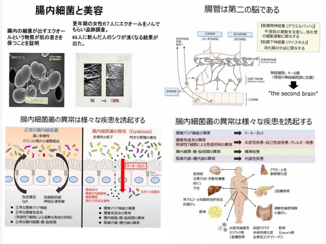 災害時における体のケアと腸内環境の重要性とは