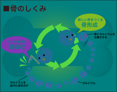 週2～3回の筋トレがもたらす驚きの健康効果