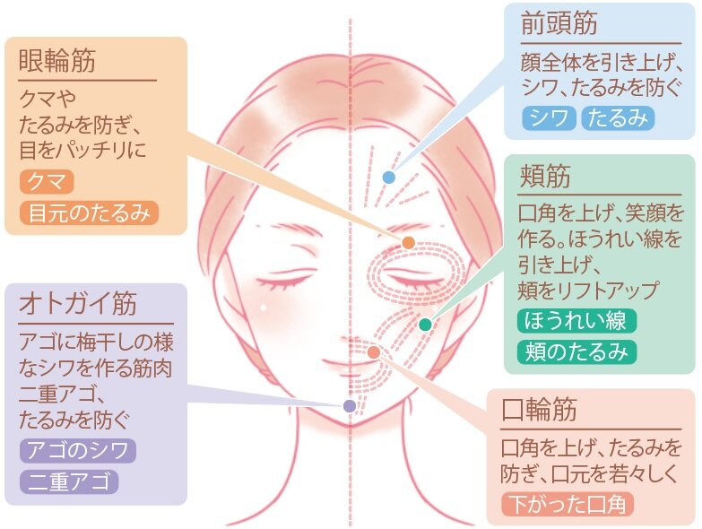 ほうれい線を目立たなくする！プロが厳選した美顔器の真実