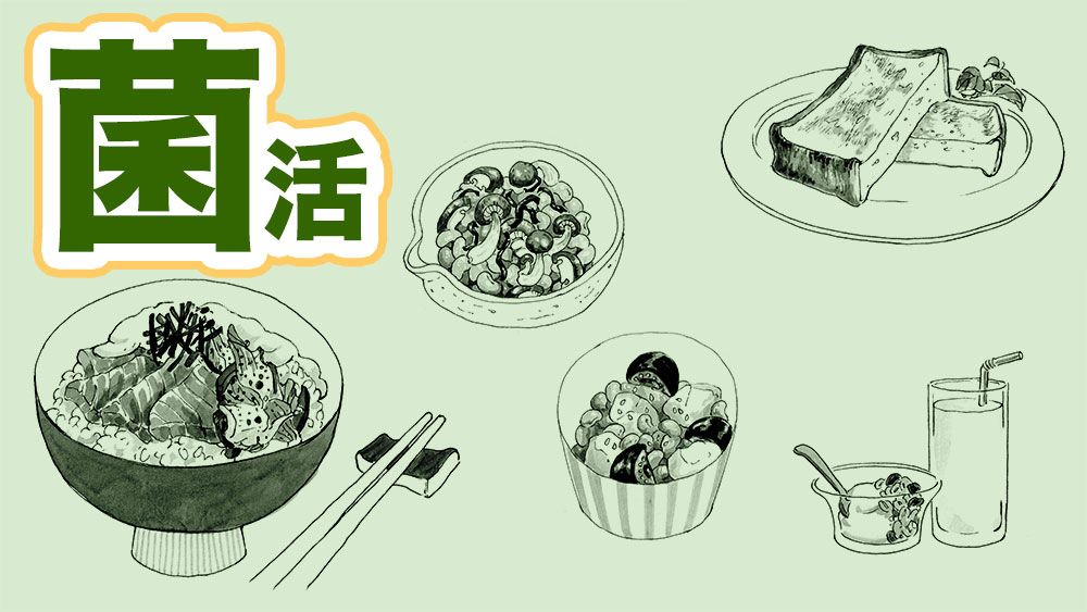 プロバイオクティクスが含まれる可能性が高い発酵食品10選を専門家が紹介！