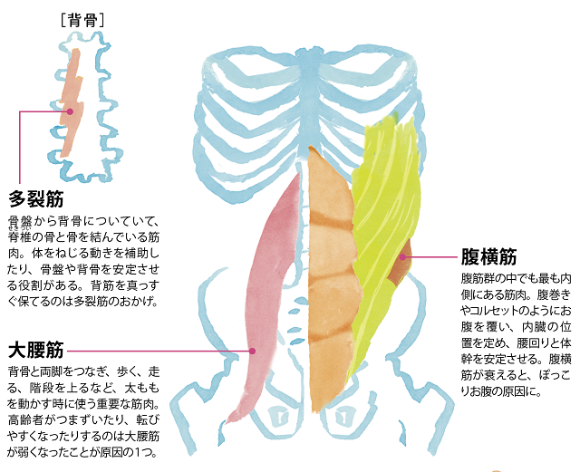 若いころから始める「5活意識」で未病予防を