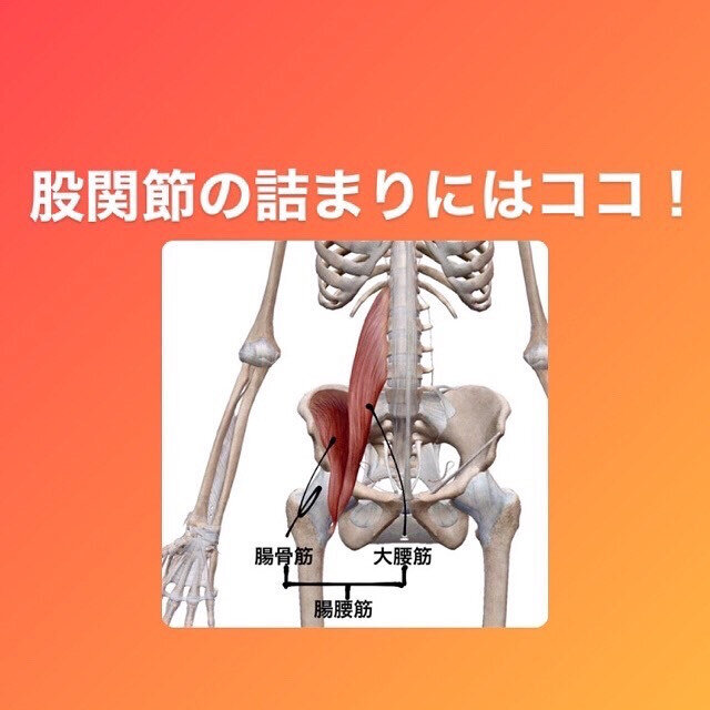股関節の詰まりを解消！背骨リセットの驚くべき効果