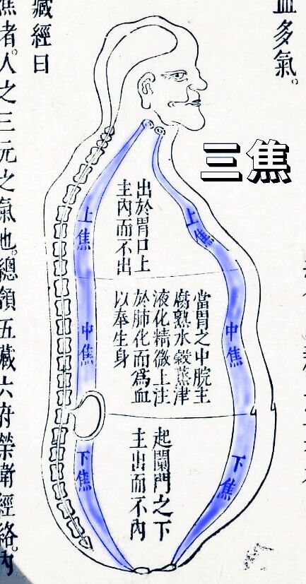 体を整える臓活のすすめ：不調改善と健康維持の秘訣