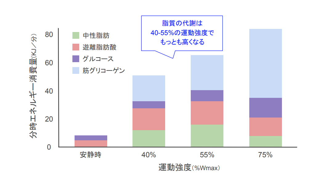 有酸素運動のベストタイミング：食前と食後での脂肪燃焼効果を徹底比較