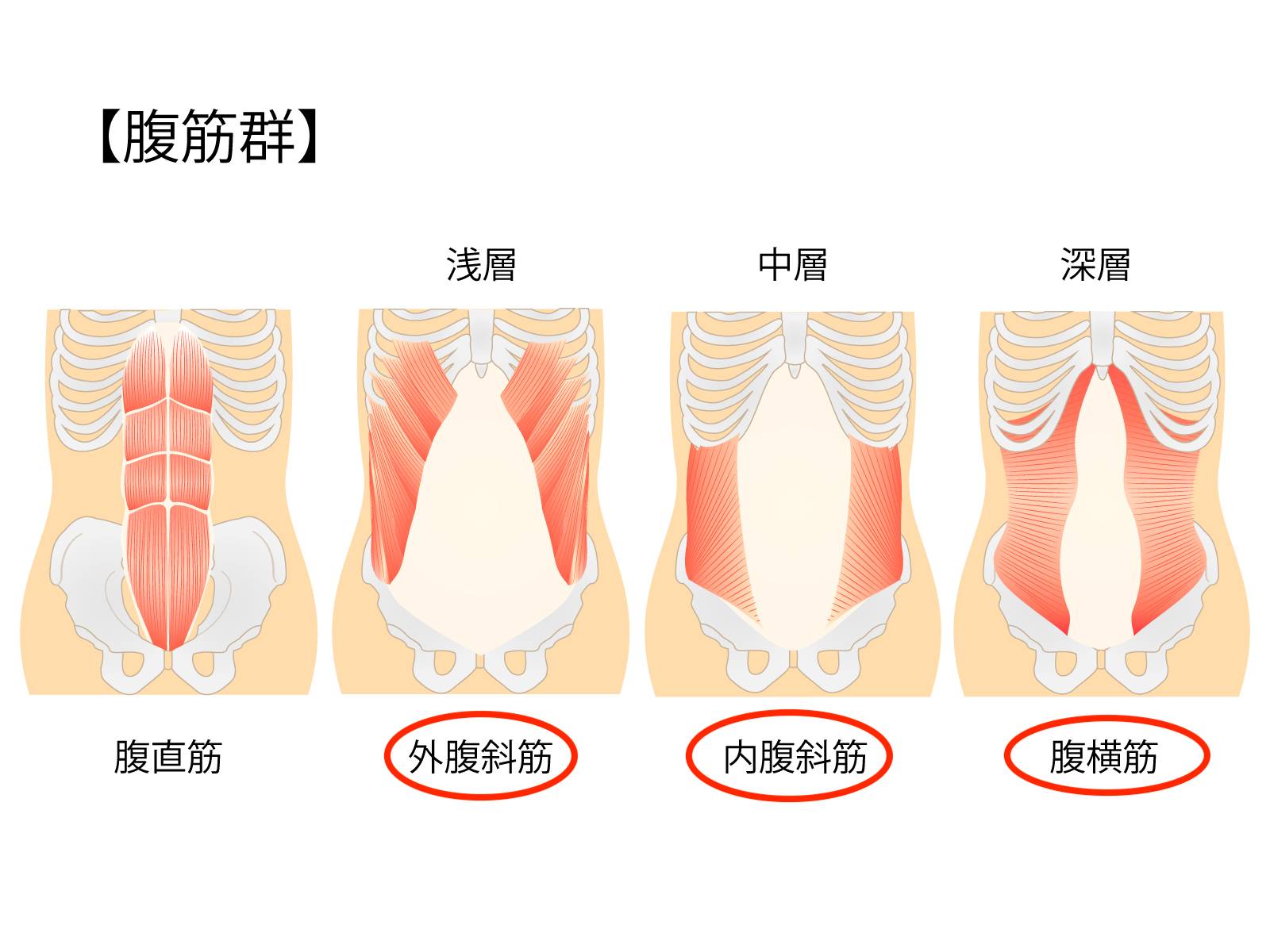 整骨院院長推薦！自宅でできるギックリ腰予防法