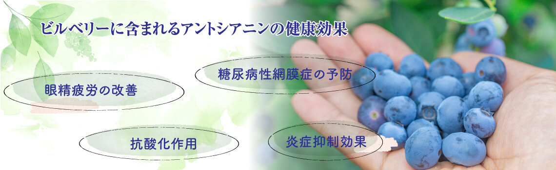 管理栄養士が教える！ブルーベリーサプリ活用マニュアル
