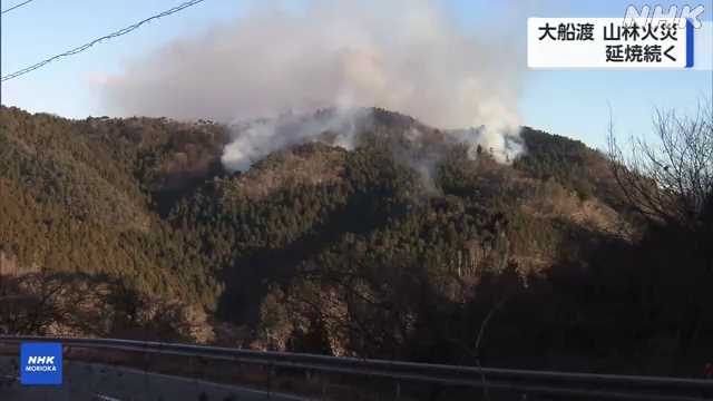 岩手大船渡の山林火災: 84棟の被害と避難指示の現状