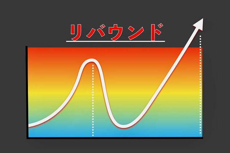 “チーズが太る”は誤解？専門家が教える健康的な食べ方