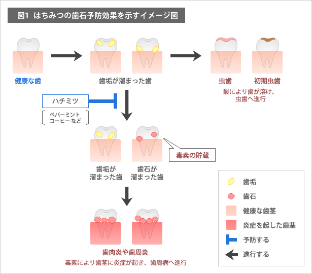 はちみつパワーで健康をサポート！スポーツナビがおすすめする効能と食べ方