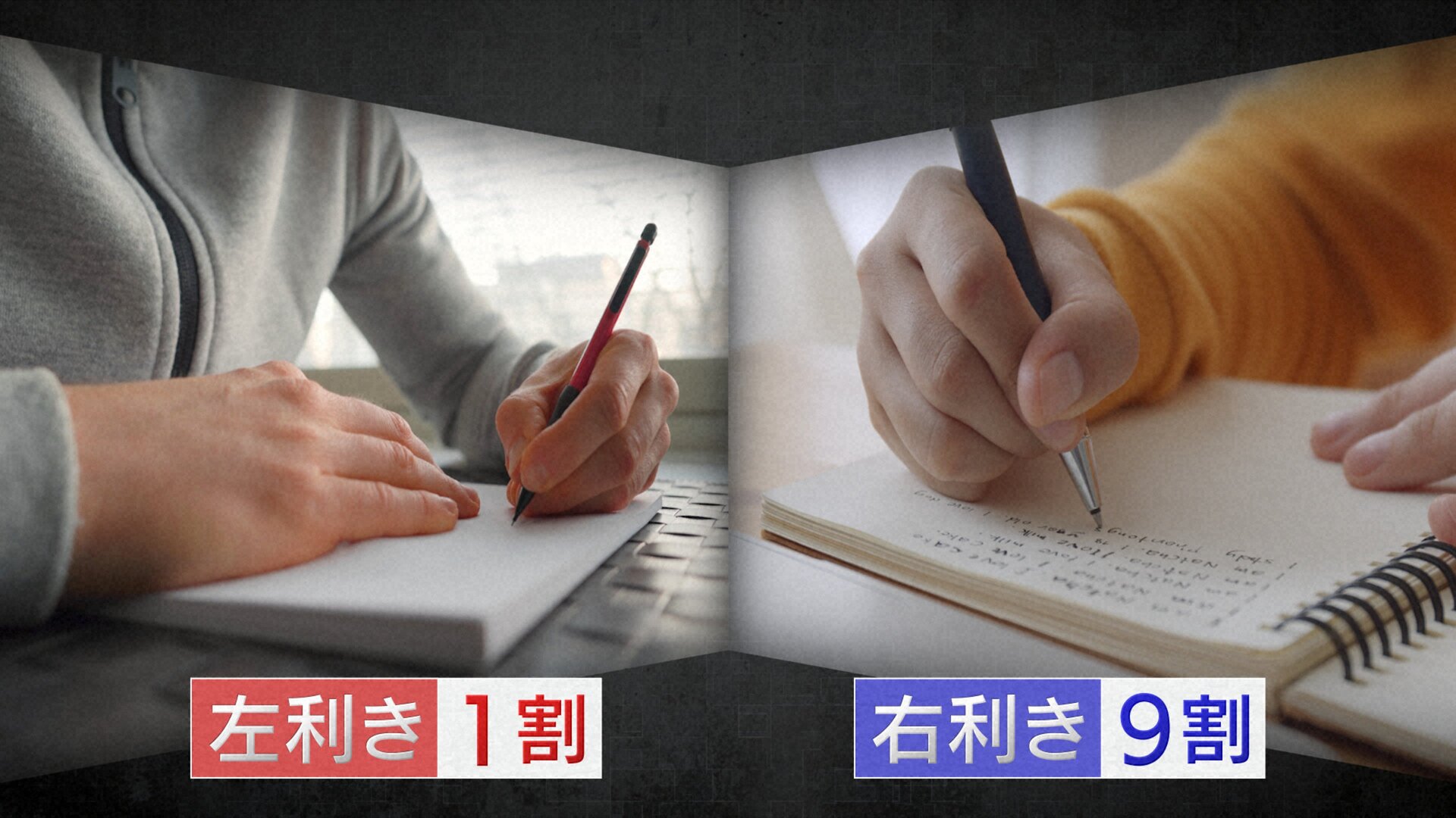 180万年前の人類に学ぶ！右利きが圧倒的に多い理由