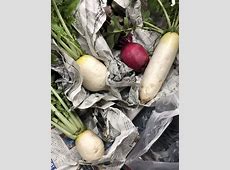 冬の味覚！立冬大根の楽しみ方とその秘密
