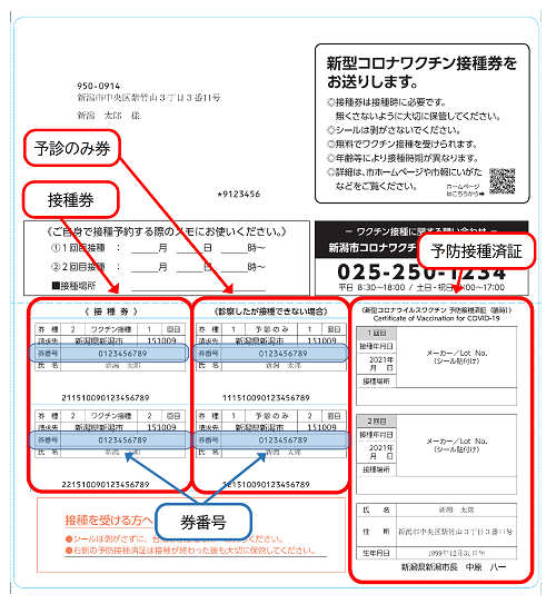 2024年インフルエンザ対策：ワクチン接種後の感染と発熱の関係