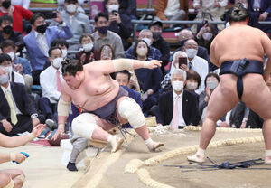 横綱照ノ富士、悲壮決意の引退表明：大相撲初場所の真実