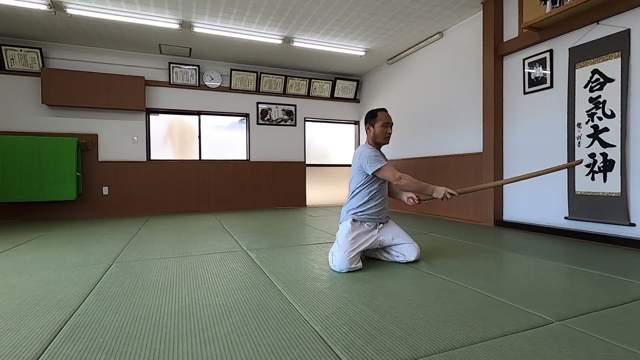 動く禅、合気道：秋元才加が語る心と体の変革