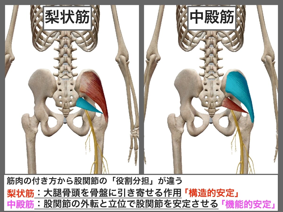 坐骨神経痛の真実：原因を知り、あなたを守る予防法