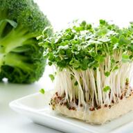 腸活に最適！ブロッコリーとブロッコリースプラウトの栄養徹底分析