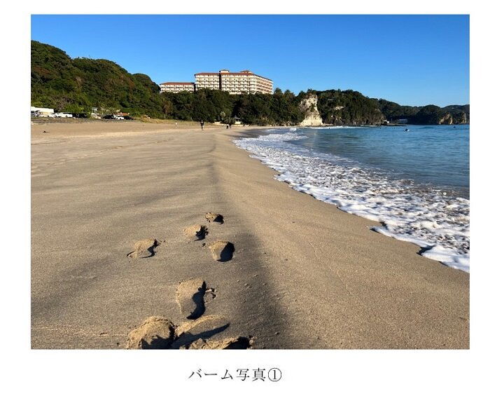 ブログで紹介される海の事故についての最新情報と注意喚起