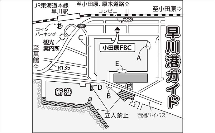 神奈川の釣りスポット: 早川港の魅力と観光情報